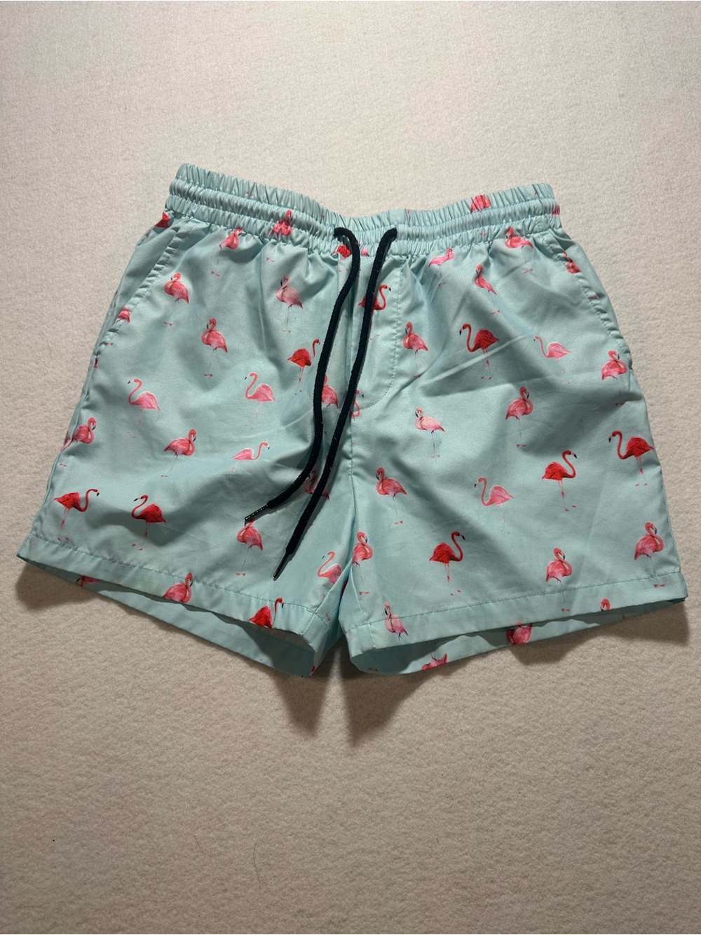 SHEIN Light Blue Swim Trunks with Pink Flamingo Print